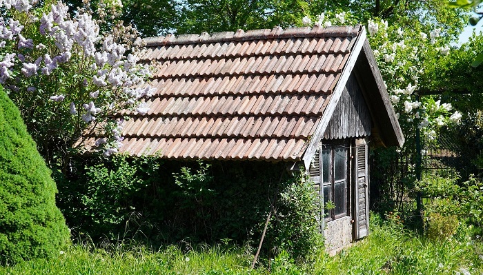 abri de jardin en bois